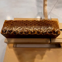 Manuka Honey & Oat Soap