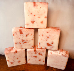 Camellia Sugar Tallow Soap
